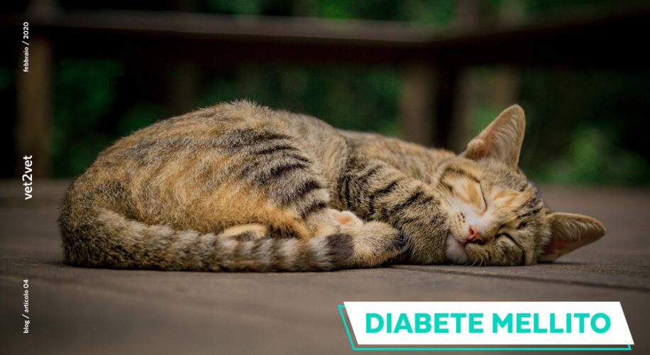Diabete Mellito Felino