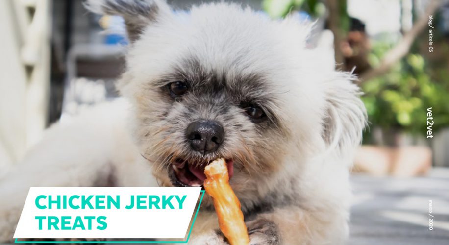 Chicken Jerky treats